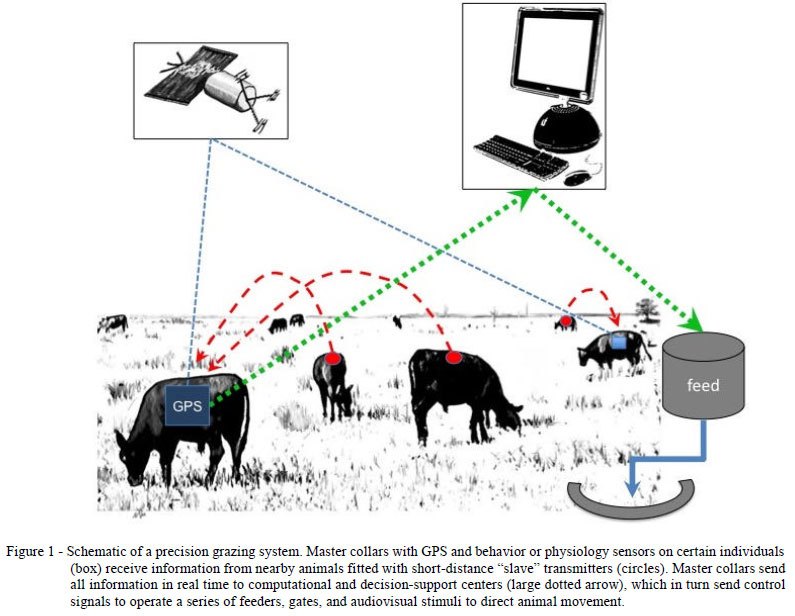 Big data in ranching and animal husbandry